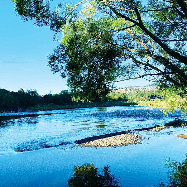 Meeting the needs of remote rural areas to lift attendance – Education ...